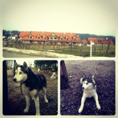 Spotkanie Najlepszych Partnerów Banku BPH